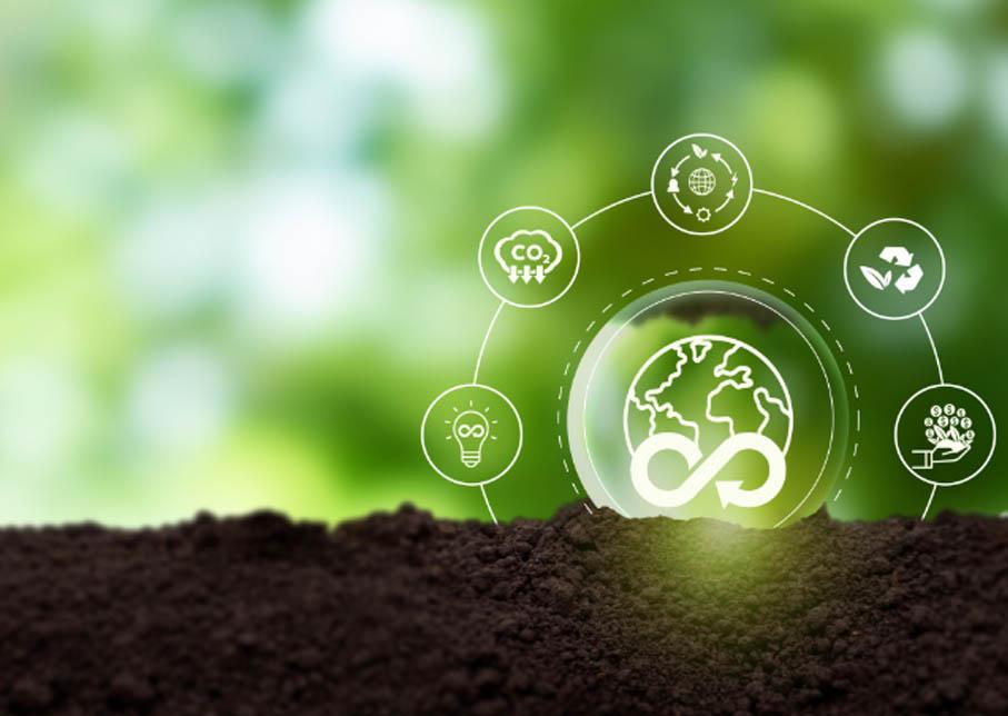 生物质能源开发