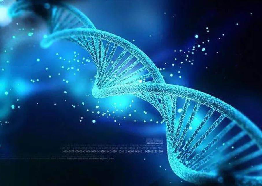 生物信息学分析